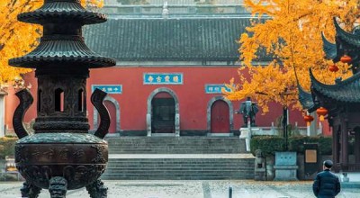 罗汉412解签 423罗汉解签？