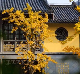 南岳祝融峰解签 南岳祝融峰游玩攻略？