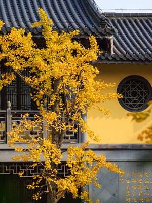 2016年貔貅开光 2021年貔貅开光吉日一览表？