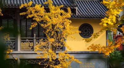 灵山大佛开光祥瑞景象 灵山大佛开光纪念9999？