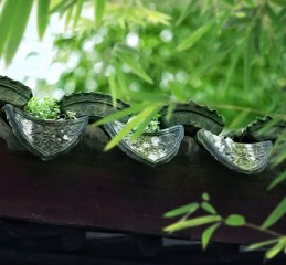 木质貔貅怎么开光 木制貔貅怎么供养？