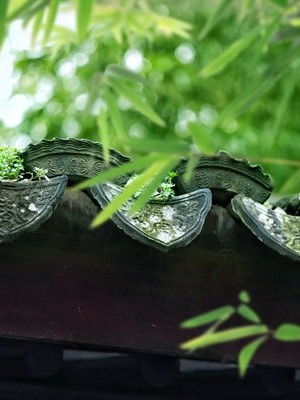 三平祖师48签解签详细解 三平祖师公49签诗解？